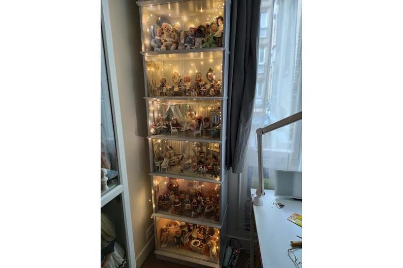 La vitrine des mignonettes